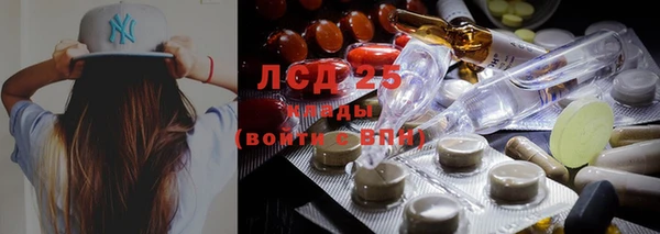 винт Беломорск