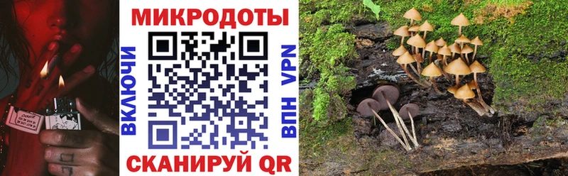 Галлюциногенные грибы прущие грибы  Красный Кут 